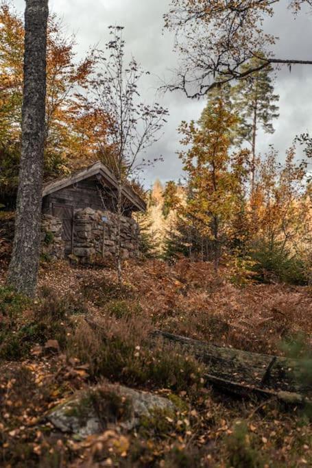 Malaskog Gamla Station Ryssby Esterno foto